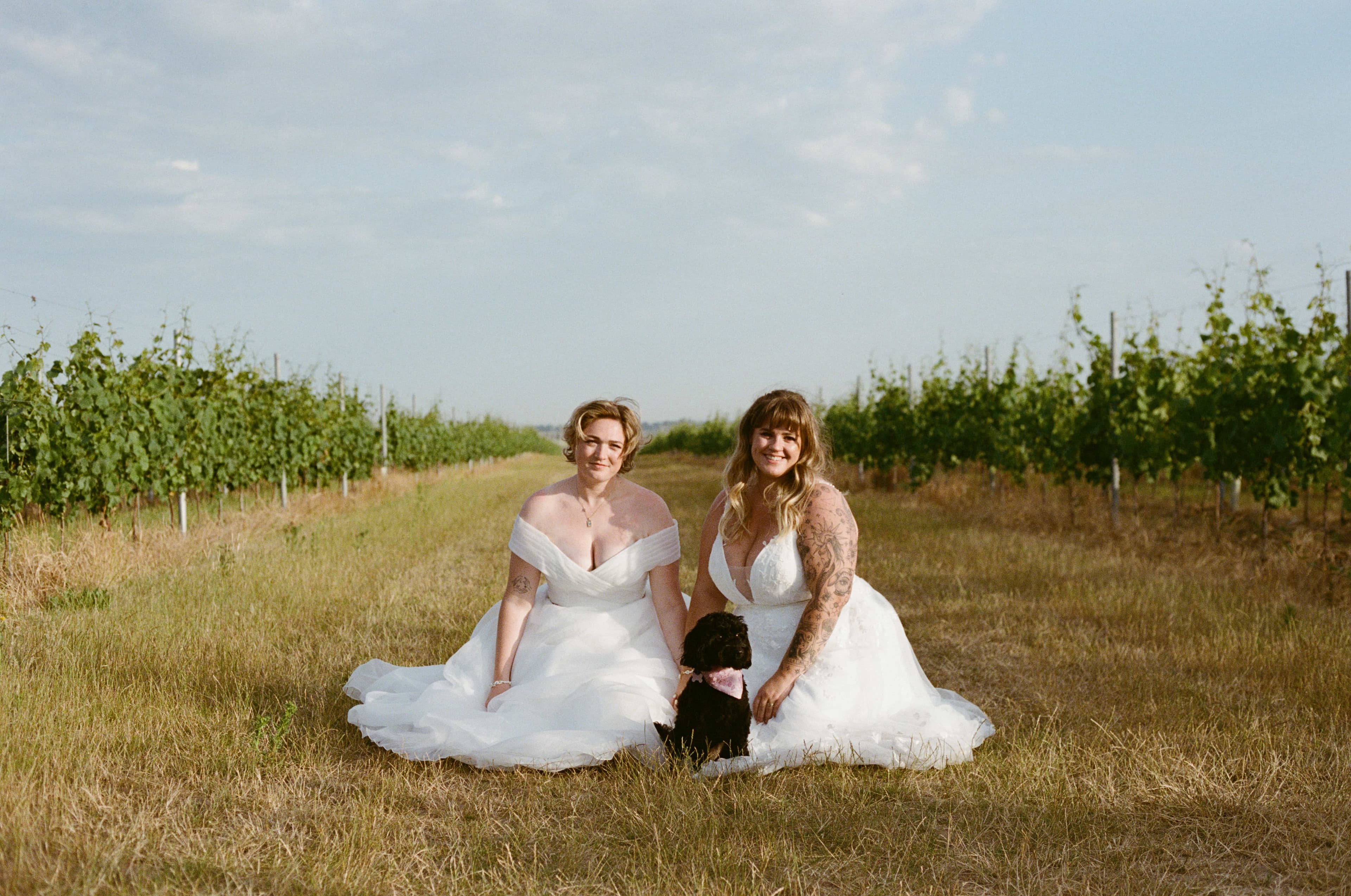 Wedding film photography, 35mm, 120 Ivy and pine photography